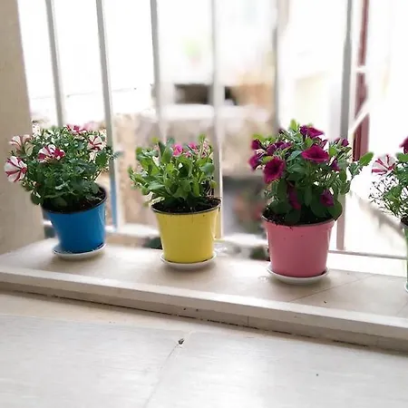 Apartman A Casa Di Sonia Szirakúza